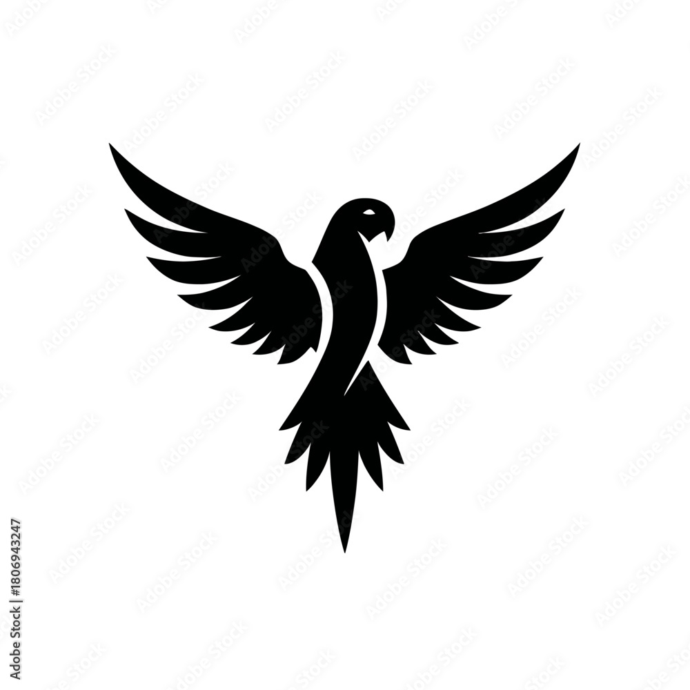 Obraz premium Bird soaring with wings spread