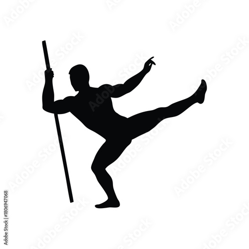 A silhouette of martial artist demonstrating striking pose