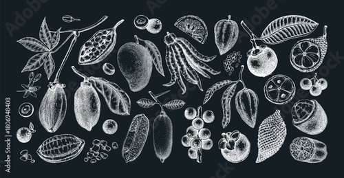Exotic fruit sketches set on chalkboard. Tropical plants hand drawn vector illustration. Healthy food drawings. NOT AI generated