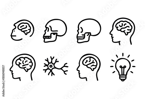 Various illustrations depict human heads and skulls alongside brain imagery, showcasing neurons and light bulbs, symbolizing intelligence and thought processes in a creative format.