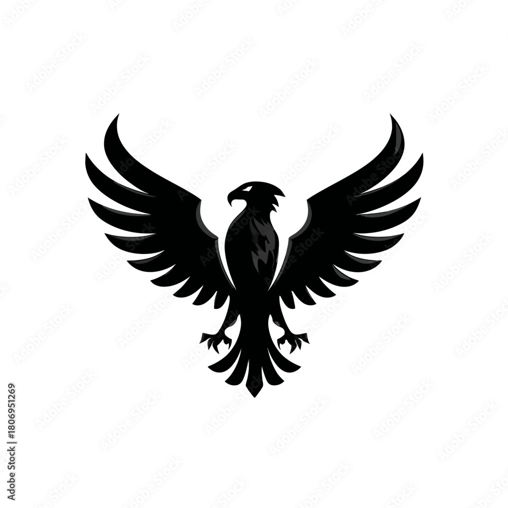 Fototapeta premium Black eagle with wings spread