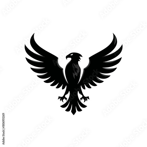 Black eagle with wings spread