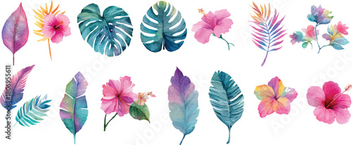 set of colored feathers