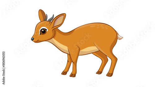 cute cartoon dik dik deer standing.