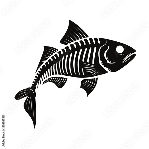 Fish skeleton illustration on white background