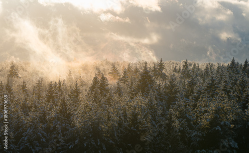 Dramatic landscape of a snow-covered foggy mysterious spruce forest in winter. High-angle view on horizon. Warm sunlight shines through the haze and falls on the fir trees, creating a magical scene