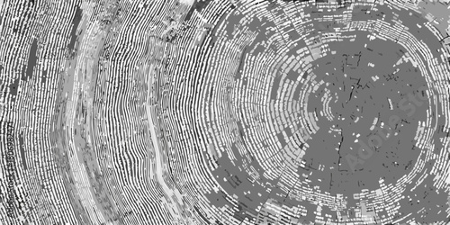 Abstract grayscale textured background of tree rings and wood grain patterns