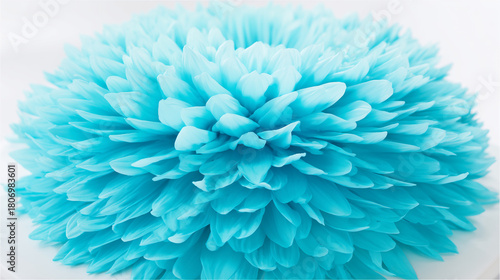 shaggy. Light blue flower with fluffy petals displayed against white background, gardening catalogs, home-decor guides, designed for gardening and botanical catalogs.
