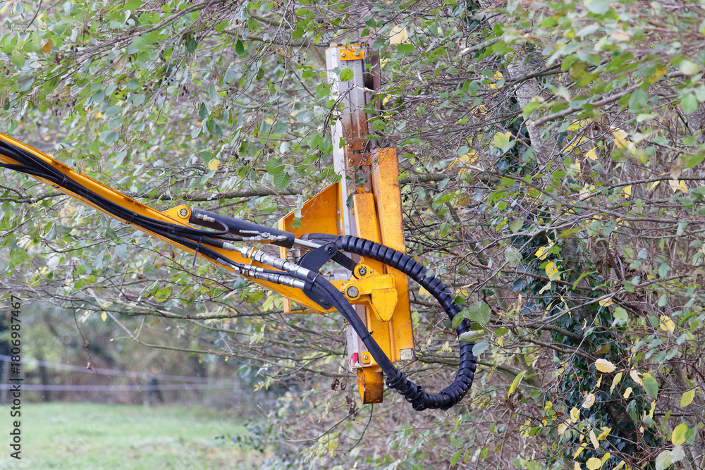 Naklejka premium demonstration de materiel entretien taille de haie