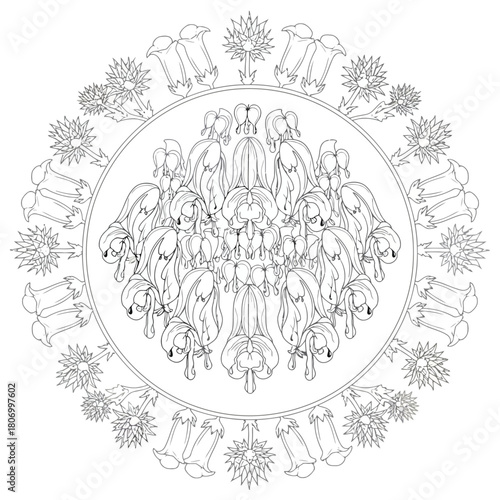 Bleeding heart flower mandala isolated on