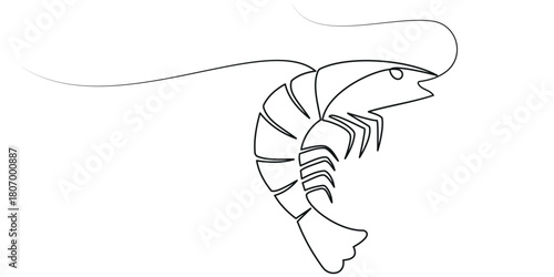Continuous one single minimal line drawing Shrimp, Shrimp in one line drawing. Sea food illustration, Continuous Line Drawing of Sea Food Icon. Hand Drawn Symbol Vector Illustration