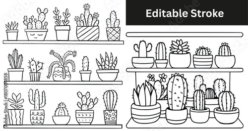Set of hand-drawn cactus and succulent icons on shelves. Doodle potted plant vector illustration.