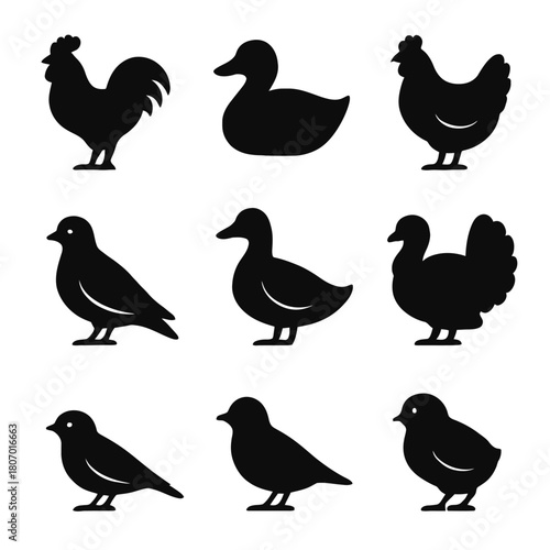 Silhouette collection of various bird species: duck, chicken, pigeon, turkey
