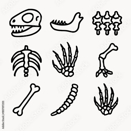 Dinosaur and human bones illustration featuring skeleton and skull elements