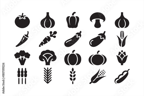 Fresh vegetable icons with pumpkins, broccoli, garlic and corn for web and UI design