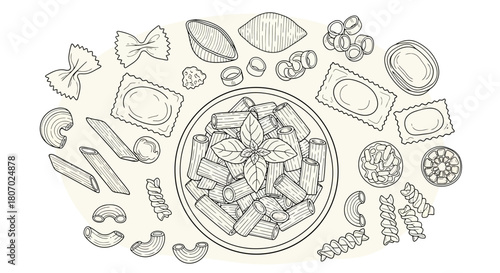 Pasta Variety Illustration A Detailed Look at Different Pasta Shapes and Types in a Culinary Design
