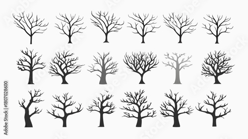 Striking collection of bare winter trees, perfect for seasonal designs or nature-themed projects. Minimalist, elegant, and ready to enhance your creations