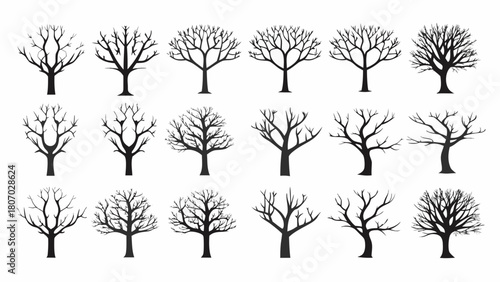 Striking bare tree silhouettes in winter, perfect for nature designs, seasonal graphics, or artistic projects needing a touch of natural beauty