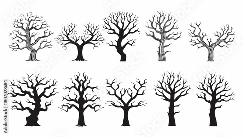 Silhouette trees, forest, bare branches design elements for Halloween, autumn and winter projects, originally a vector illustration for creative projects