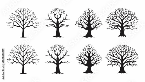 Elegant bare winter trees collection for seasonal designs, nature illustrations, or ecological projects, perfect for a serene and natural atmosphere