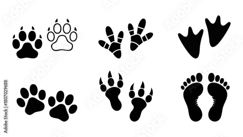 Collection Of Paw Prints Silhouettes For Pets And Animals, Playful Footprint Graphics For Design