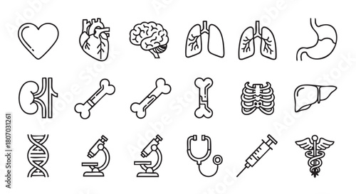 Collection of human body medical icons in line art style vector