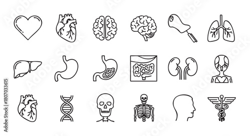 Human anatomy line art icons set vector medical healthcare concept