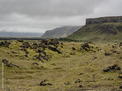 mossy lava fields in Island