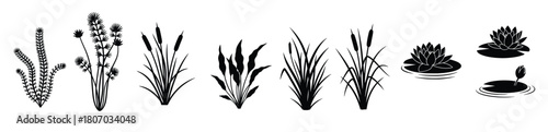 isolated black silhouettes of various aquatic plants on