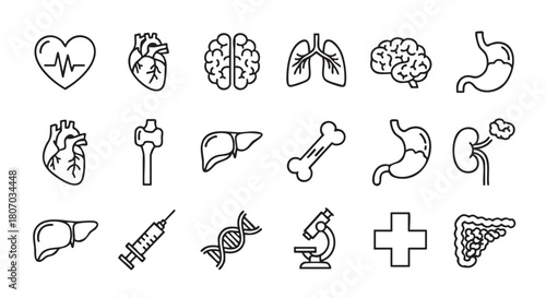 Medical icons depicting human anatomy and healthcare in line art style