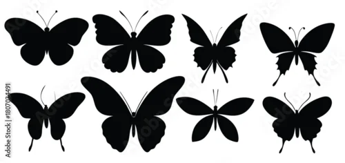 Fototapeta isolated butterfly silhouettes in various poses