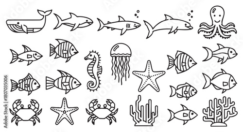 Ocean Animals Line Art Illustration Marine Life Vector Graphic Elements