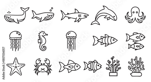 Sea Animals Line Art Collection for Design and Decoration Project
