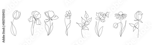  line drawing of flowers set tulip daffodil rose iris
