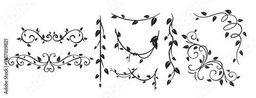 Liana Black and White Vector.