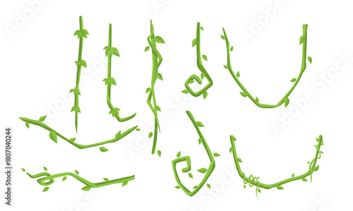 Liana Cartoon Vector