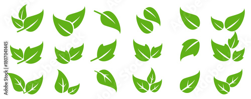 Leaf vector symbol, leaf illustration or leaf emoji in flat style. Spring leaf design, ecological nature theme.	