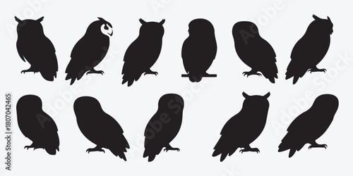 Bundle collection set design silhouettes of owls on