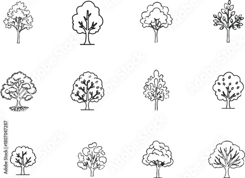 Hand-Drawn Variety of Tree Illustrations on a White Background Concept