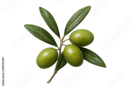Wallpaper Mural Fresh green olive branch with three ripe fruits and leaves, representing healthy eating, mediterranean diet, and natural ingredients on a transparent background Torontodigital.ca