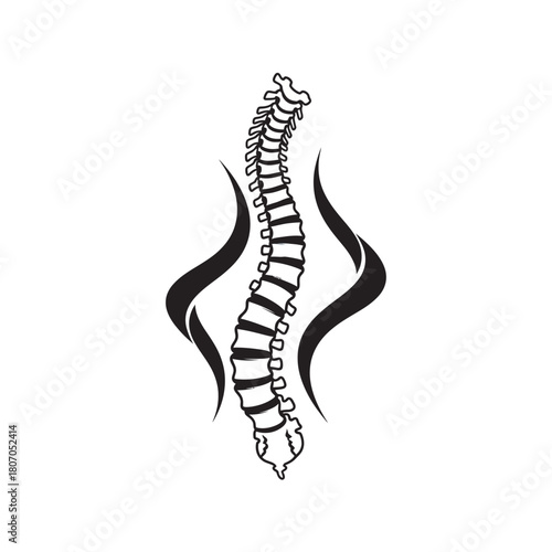 A detailed black and white illustration of a human spine with abstract wavy elements on both sides, symbolizing health and support.