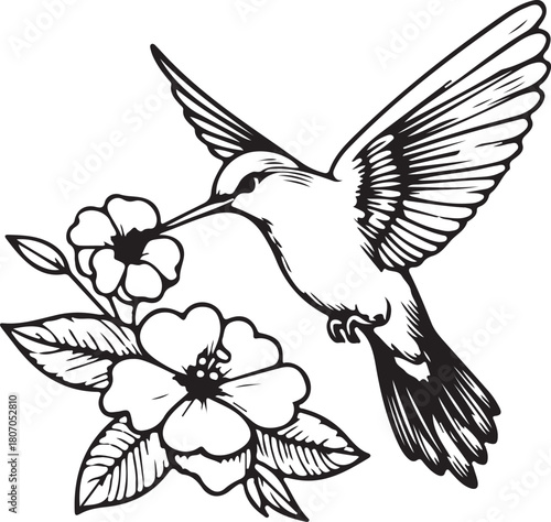 Print hummingbird flying near flowers isolated on, vector illustration