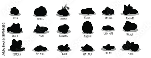  nut icon set cartoon style