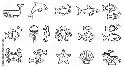 Collection of marine animal illustrations in simple outline style design