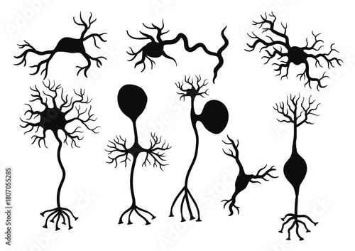 neuron icons vector