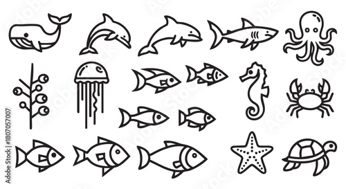 Ocean life outline illustrations in black and white simple drawings style