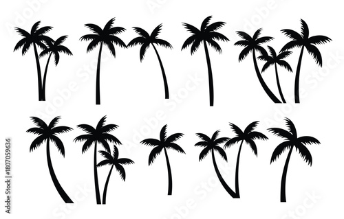 Palm trees silhouettes set. Palm trees isolated on white background.