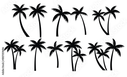 Palm trees silhouettes set. Palm trees isolated on white background.
