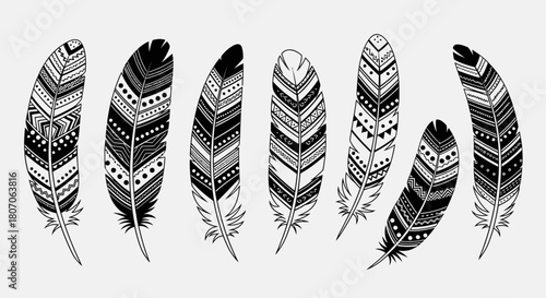 Illustrative depiction of multiple decorative feathers, each with unique patterns.