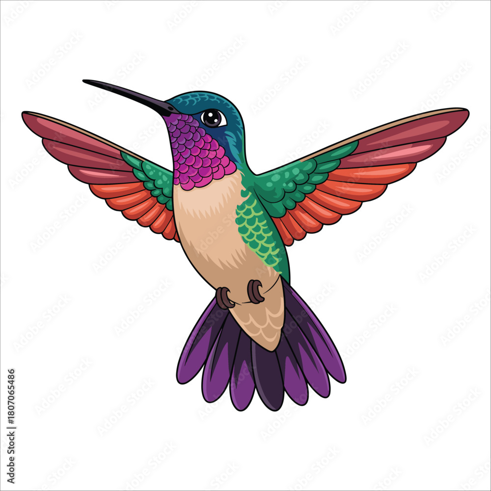 Obraz premium Colorful hummingbird with wings outstretched isolated on